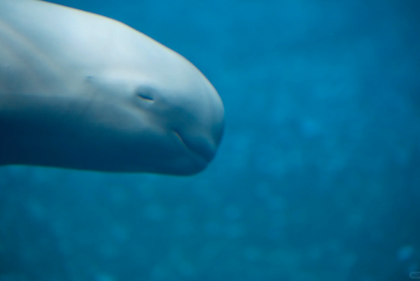 照片來源:小紅書@Diiiiiiinoooo 照片來源:小紅書@Diiiiiiinoooo