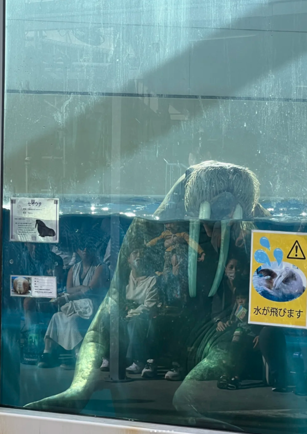 照片來源:小紅書@Diiiiiiinoooo 照片來源:小紅書@Diiiiiiinoooo