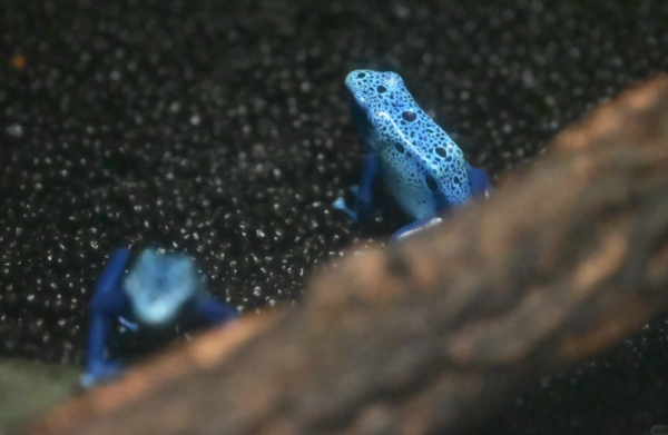 照片來源:小紅書@Diiiiiiinoooo 照片來源:小紅書@Diiiiiiinoooo