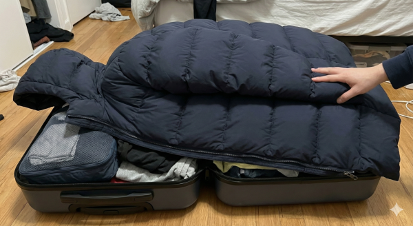 平過Muji!Standard Products/4個壓縮袋好用 厚羽絨秒變紙片慳半喼2招唔用錯