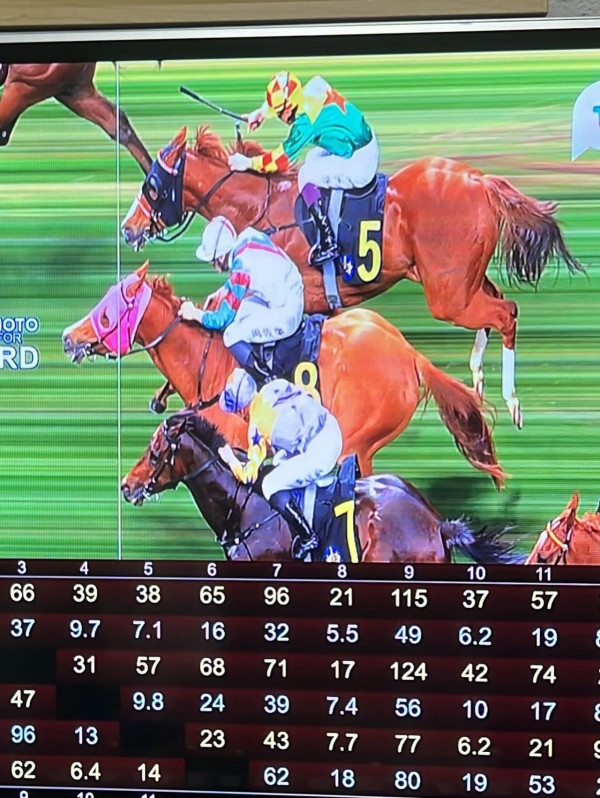 前新聞主播周嘉儀百萬愛馬仕手袋櫃極震撼 半山豪宅內貌曝光！落地窗睇無敵海景