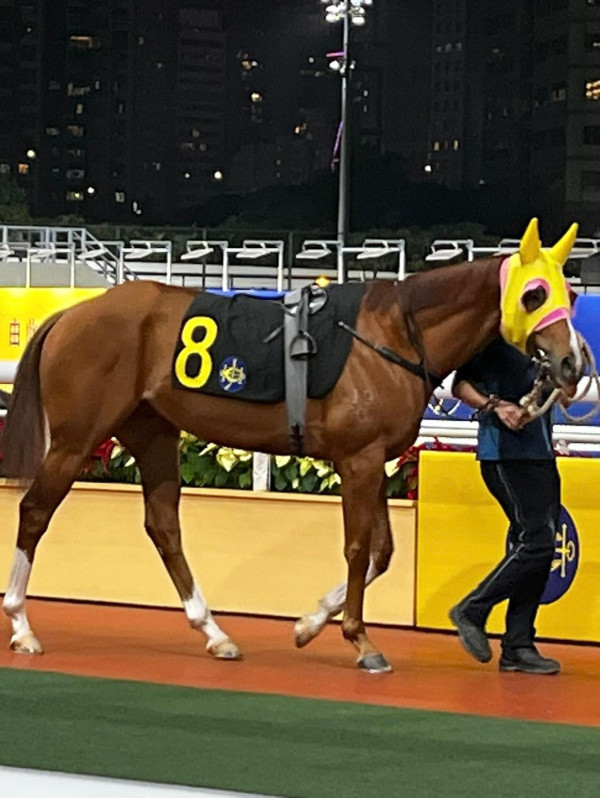 前新聞主播周嘉儀百萬愛馬仕手袋櫃極震撼 半山豪宅內貌曝光！落地窗睇無敵海景