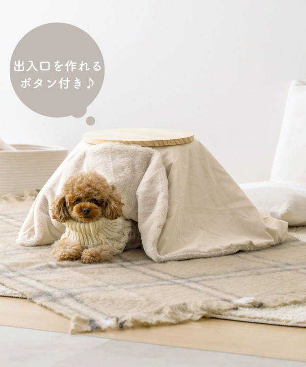 資料及圖片來源：3coins