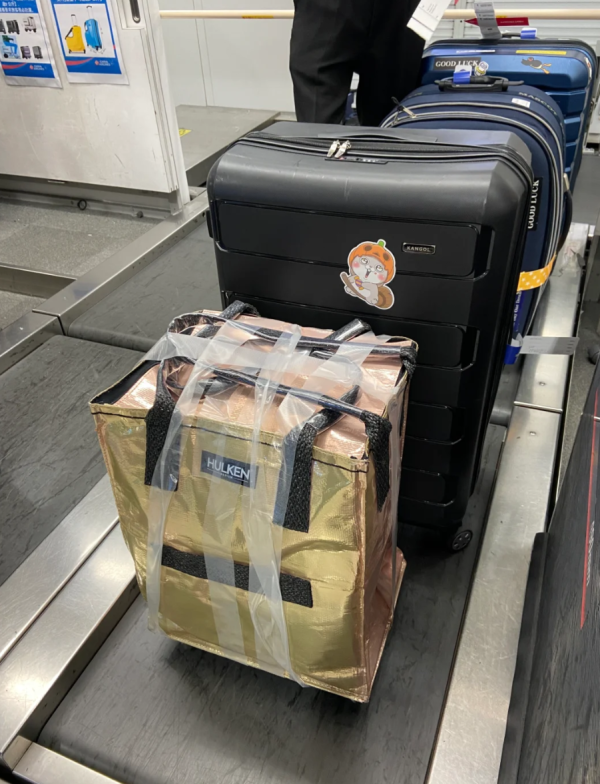 照片來源：小紅書@投降輸一半