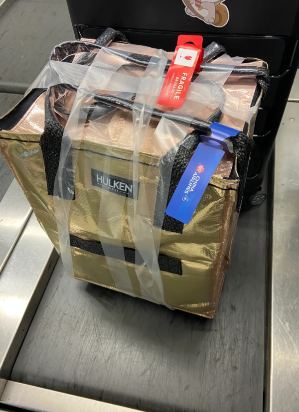 照片來源：小紅書@投降輸一半