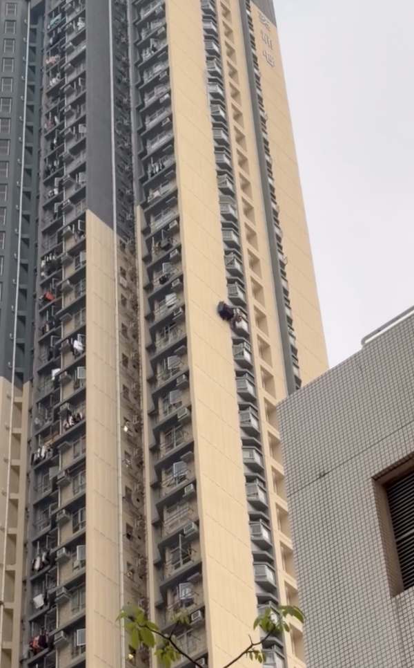 公屋奇景｜高層戶「打橫貼牆」裝晾衫架！網民嚇窒：蜘蛛俠？房署指引揭隨時扣分
