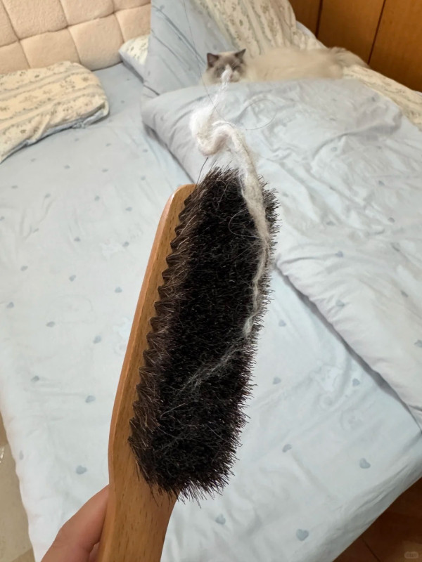 MUJI 3大「除貓毛隱藏神器」$42起！實測沐浴刷/鞋刷　勁過Dyson、除塵轆