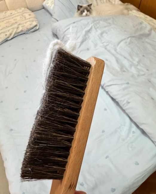 MUJI 3大「除貓毛隱藏神器」$42起！實測沐浴刷/鞋刷　勁過Dyson、除塵轆