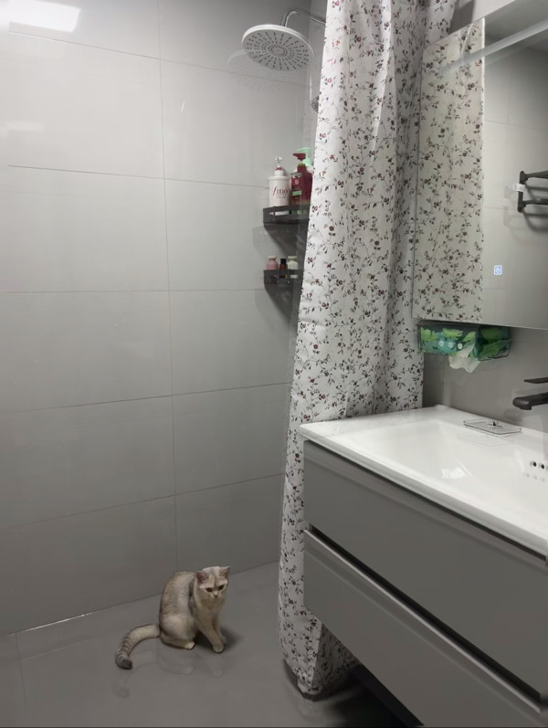 沖涼唔再成地水！公屋/納米樓必裝3大「乾濕分離」神物　免玻璃門/鑽牆一貼即用