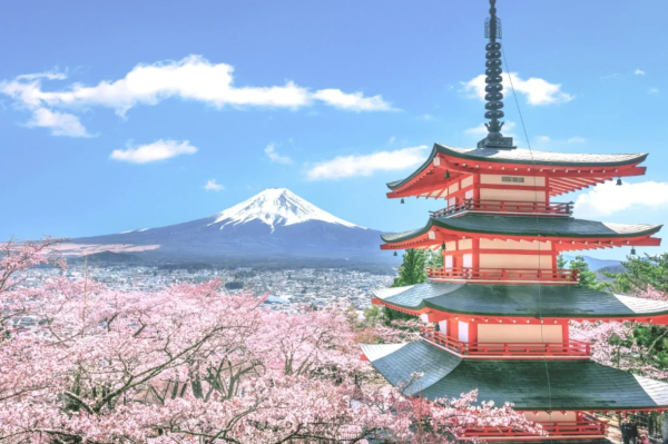 照片來源:小紅書@Chee Song Can Share 照片來源:小紅書@Chee Song Can Share