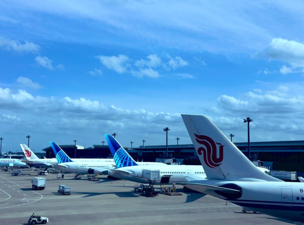 照片來源:小紅書@东京情报 照片來源:小紅書@东京情报