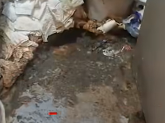 圖片來源：The US Sun