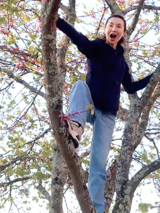 Threads熱議10大最有禮貌藝人！零負評男神一行為勁加分 張曼玉超親民舉動永世難忘