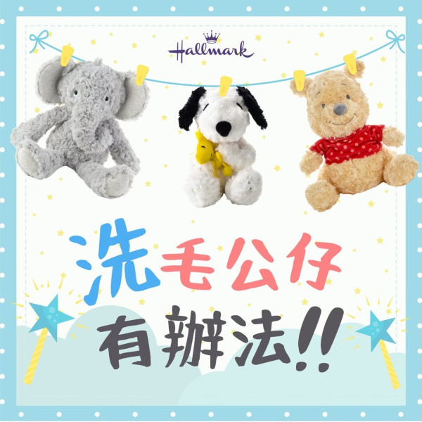 乾洗毛公仔方法|2. 爽身粉(適合長毛公仔)。圖片來源:Hallmark Hong Kong