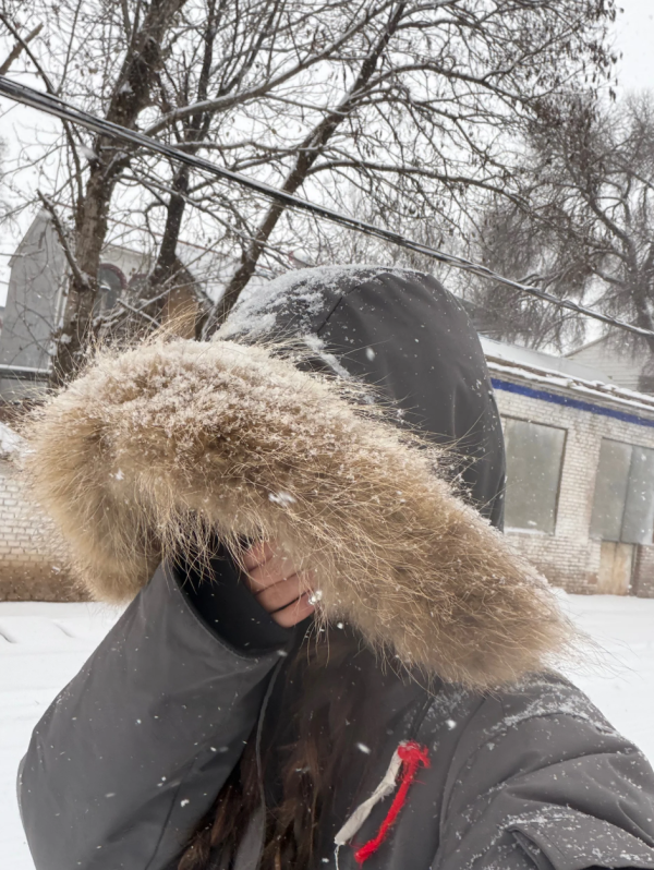  照片來源：小紅書@小红薯6316C085