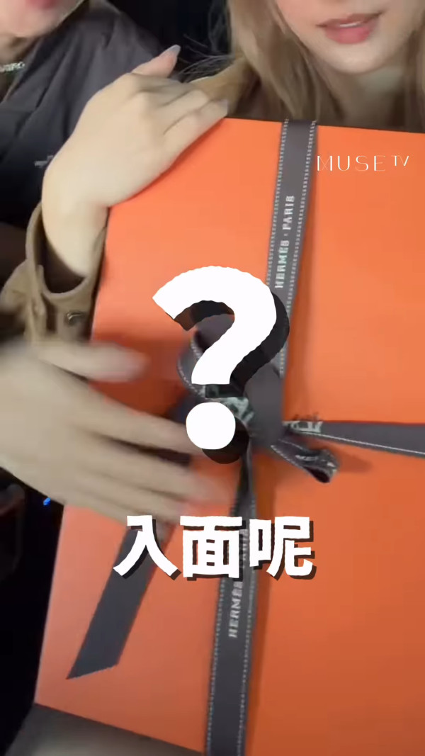 陳瀅豪花6位數買愛馬仕Birkin手袋罕見款 驚見碌卡數字自爆「有啲驚」