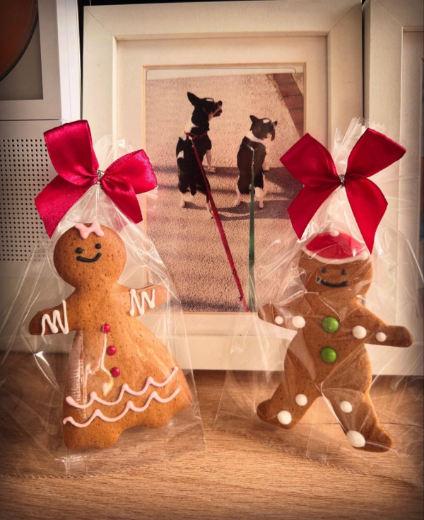 小儀結婚｜55歲小儀老公神秘身份疑似曝光 IG早有暗示！蘇民峰兩年前神預言應驗