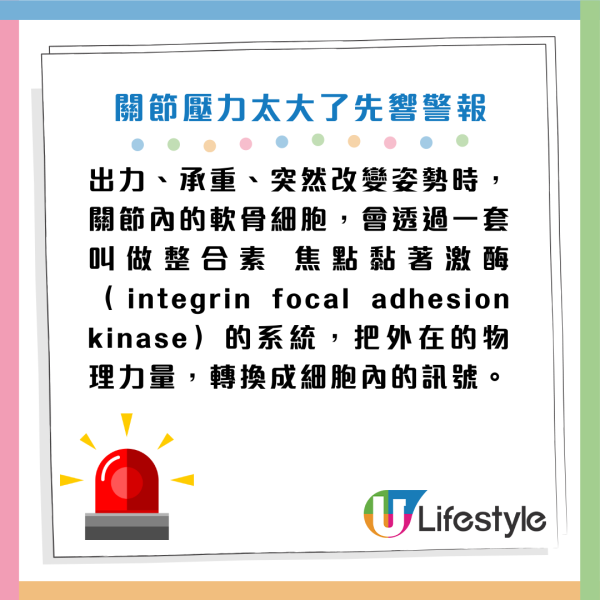 天氣轉冷 起身/落樓梯膝頭似針拮？醫生警告：動作太快出事！即學4招自救