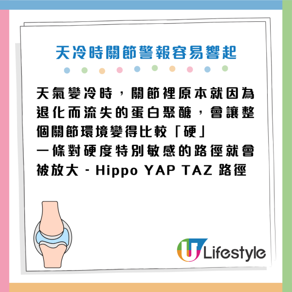 天氣轉冷 起身/落樓梯膝頭似針拮?醫生警告:動作太快出事!即學4招自救