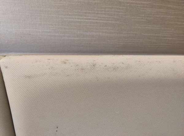 拉鍊卡死千祈咪大力扯！日本專家教1招「復活神技」　只需$2文具一塗即順