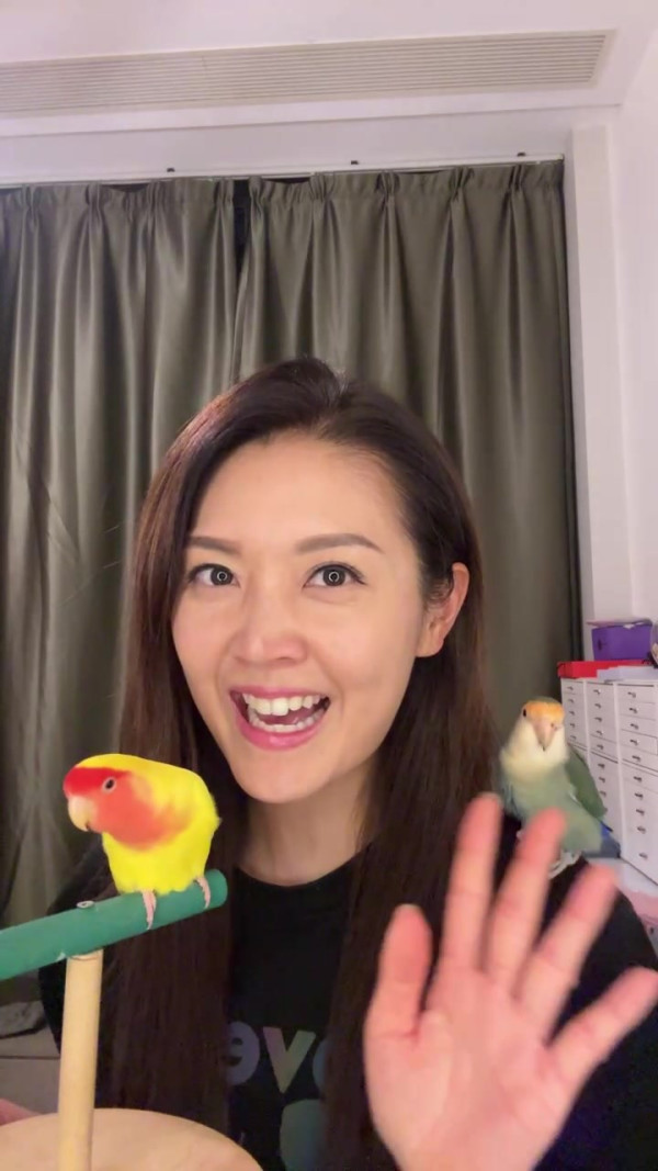 陳庭欣分手後生活被指打回原形！搬回500呎蝸居 驚傳被呢位《東張》男神力追？