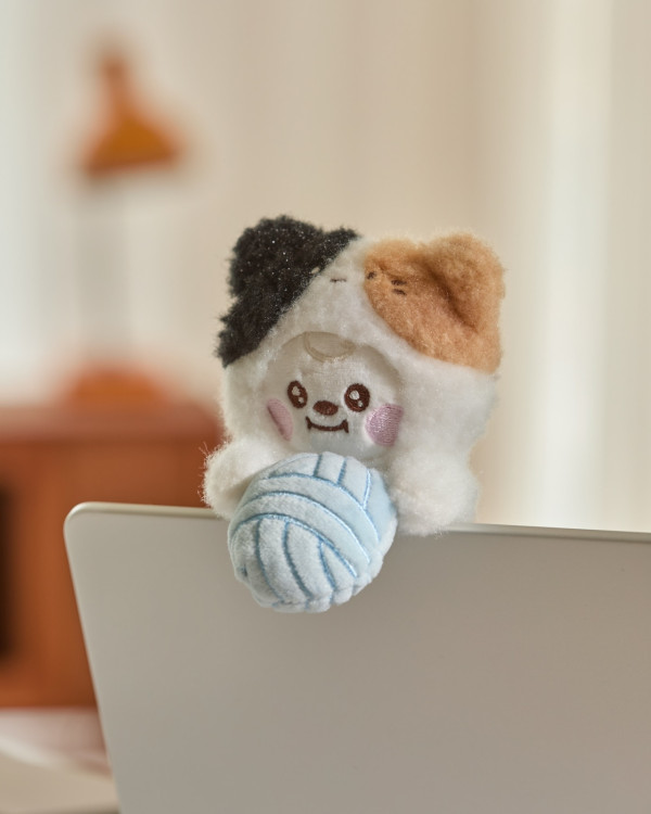 LINE FRIENDS apm店結業！最後3日 低至3折清貨！網民呻不捨：無得再搵佢合照