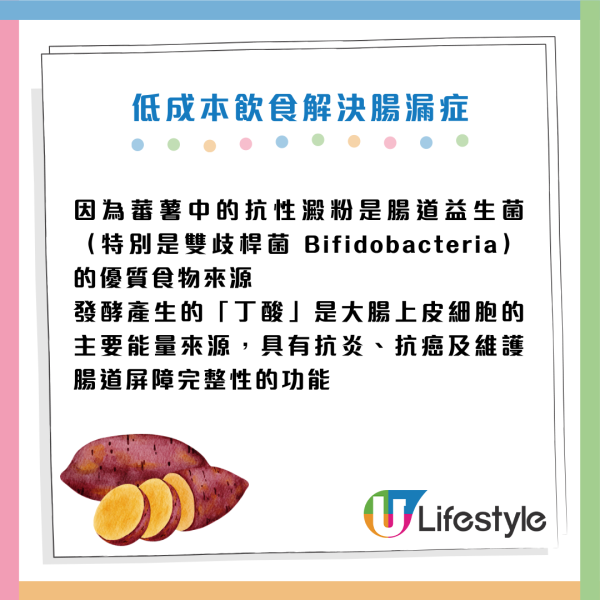 腸漏症｜瞓夠都累/皮膚爛面？原來腸道「穿窿」毒素入血！營養師教 $5 低成本自救法