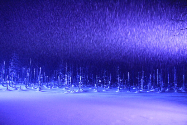 【日本點燈2026】日本8大冬日點燈活動 人生必去白川鄉/白金青池/冬燈廊☃️