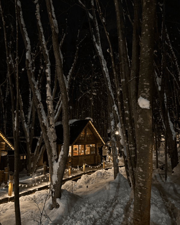 【日本點燈2026】日本8大冬日點燈活動 人生必去白川鄉/白金青池/冬燈廊☃️