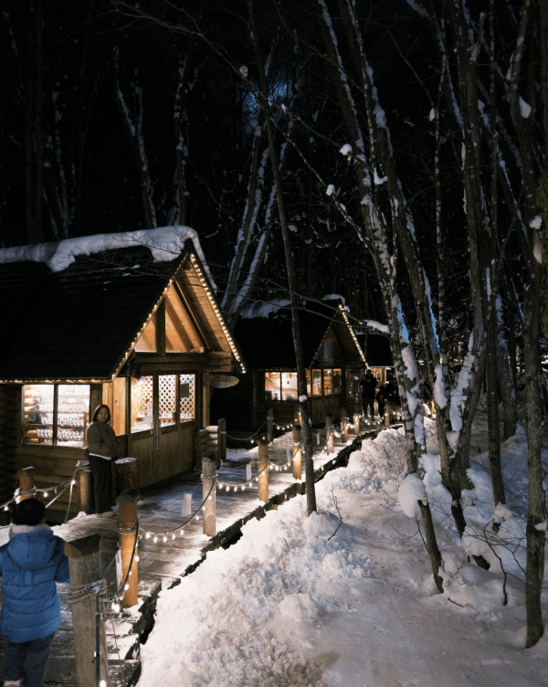 【日本點燈2026】日本8大冬日點燈活動 人生必去白川鄉/白金青池/冬燈廊☃️