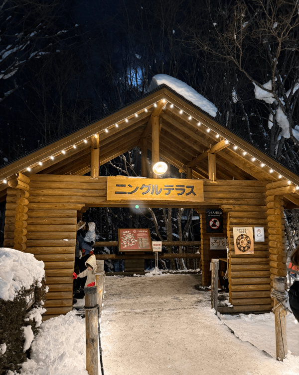 【日本點燈2026】日本8大冬日點燈活動 人生必去白川鄉/白金青池/冬燈廊☃️