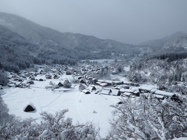 【日本點燈2026】日本8大冬日點燈活動 人生必去白川鄉/白金青池/冬燈廊☃️ 