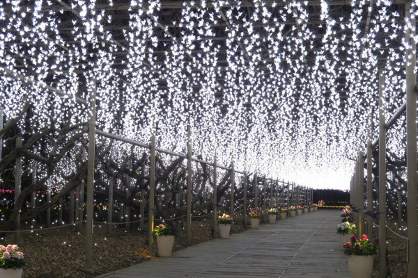 【日本點燈2026】日本8大冬日點燈活動 人生必去白川鄉/白金青池/冬燈廊☃️