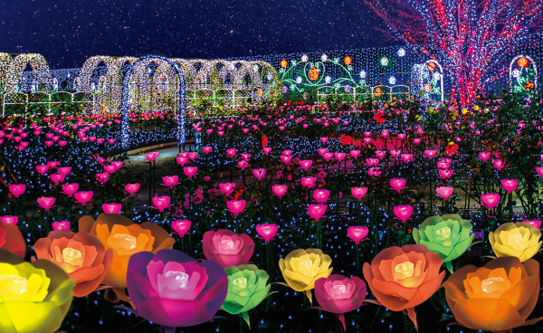 【日本點燈2026】日本8大冬日點燈活動 人生必去白川鄉/白金青池/冬燈廊☃️