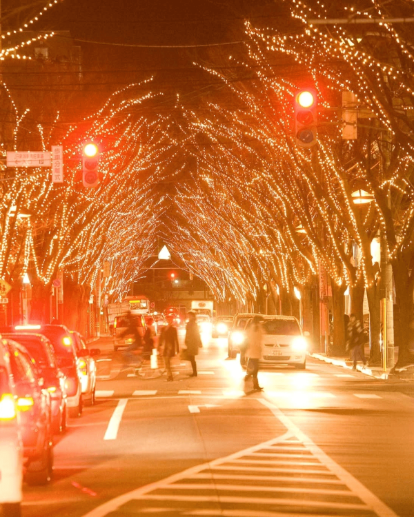 【日本點燈2026】日本8大冬日點燈活動 人生必去白川鄉/白金青池/冬燈廊☃️