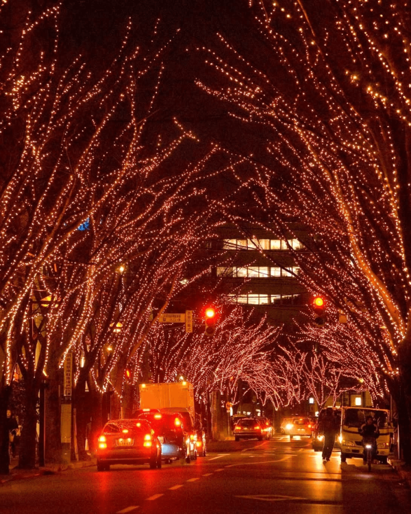 【日本點燈2026】日本8大冬日點燈活動 人生必去白川鄉/白金青池/冬燈廊☃️