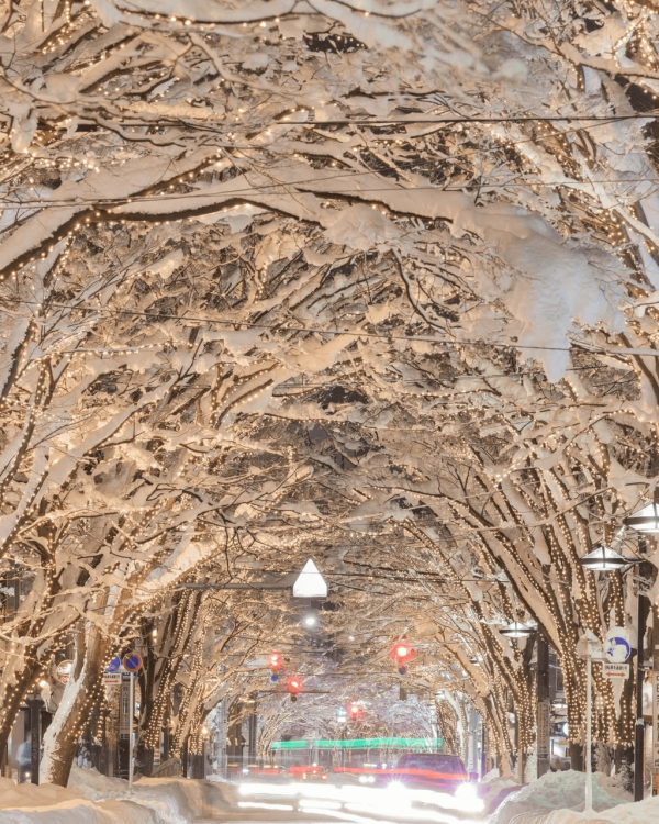 【日本點燈2026】日本8大冬日點燈活動 人生必去白川鄉/白金青池/冬燈廊☃️