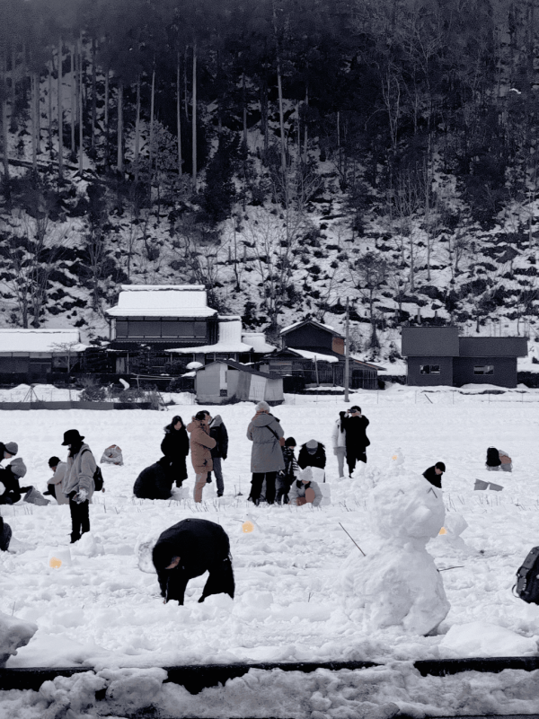 【日本點燈2026】日本8大冬日點燈活動 人生必去白川鄉/白金青池/冬燈廊☃️