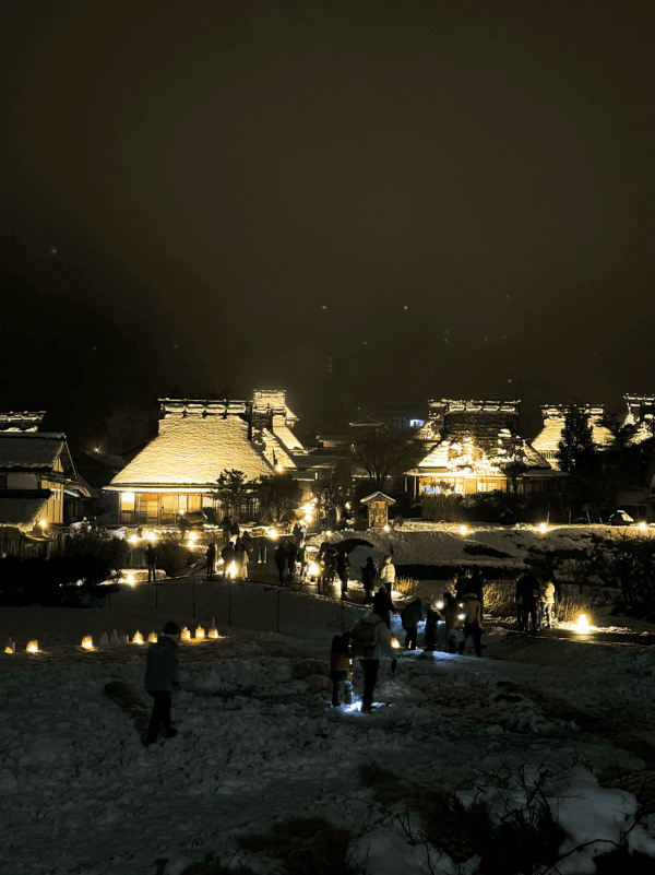 【日本點燈2026】日本8大冬日點燈活動 人生必去白川鄉/白金青池/冬燈廊☃️