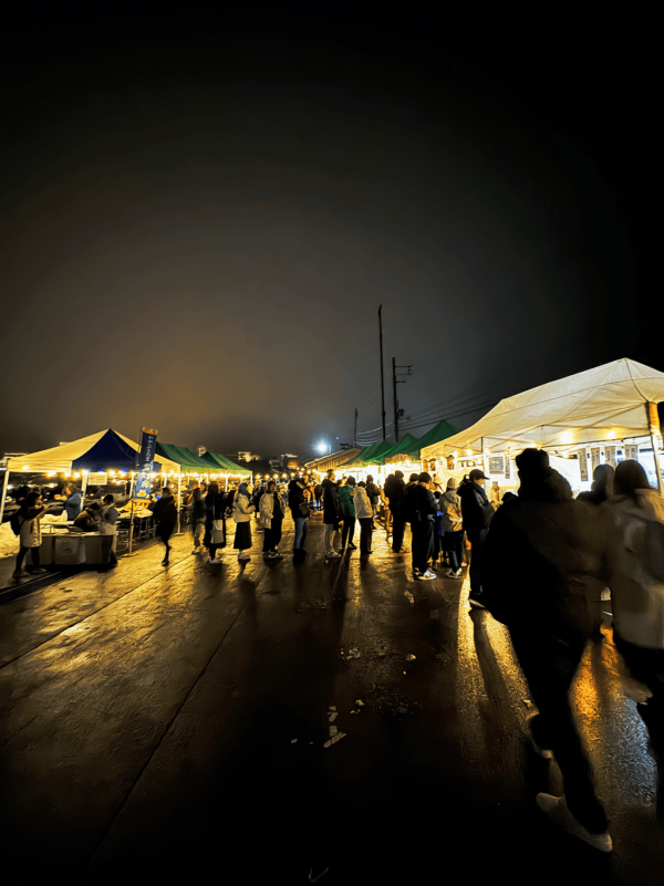 【日本點燈2026】日本8大冬日點燈活動 人生必去白川鄉/白金青池/冬燈廊☃️