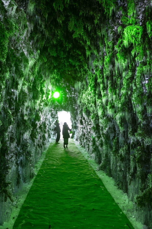 【日本點燈2026】日本8大冬日點燈活動 人生必去白川鄉/白金青池/冬燈廊☃️