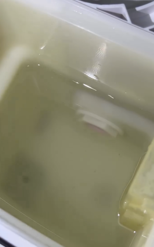 飲水定飲蟻？即熱水機拆開驚變「蟻巢」換芯都無用／內部滑潺潺