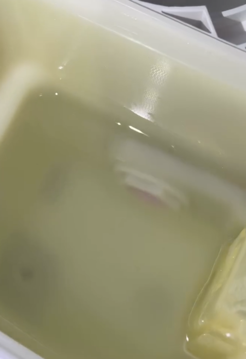 飲水定飲蟻？即熱水機拆開驚變「蟻巢」換芯都無用／內部滑潺潺