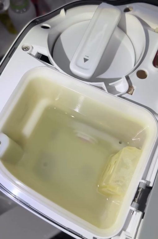 飲水定飲蟻？即熱水機拆開驚變「蟻巢」換芯都無用／內部滑潺潺