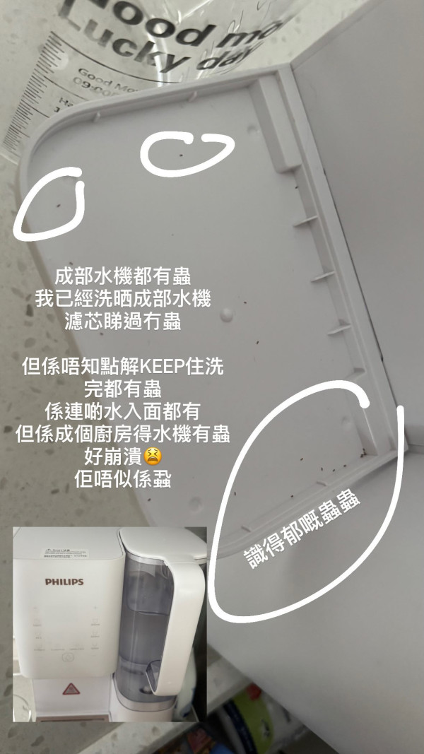 飲水定飲蟻？即熱水機拆開驚變「蟻巢」換芯都無用／內部滑潺潺