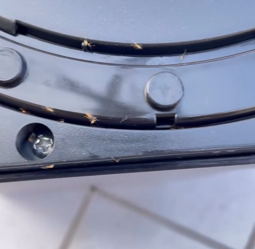 飲水定飲蟻？即熱水機拆開驚變「蟻巢」換芯都無用／內部滑潺潺