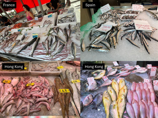 馬友、三文魚全上榜！城大驚揭4種本地魚PFAS濃度偏高、長期食用恐影響生育、增加患癌風險！這類人要小心！