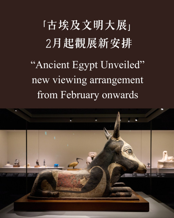 古埃及展被轟「排到癲」！官方2月推新規劃　告別蛇餅／回應3宗罪