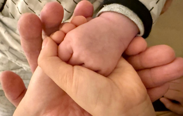 2026娛圈第一單喜訊！古巨基元旦報喜再做爸爸 57歲太太秘密誕第二胎仔仔