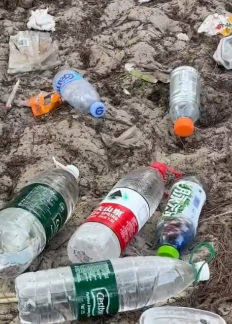 以後露營或要搶飛？政府擬推「收費預約制」告別免費營地最快國慶試行